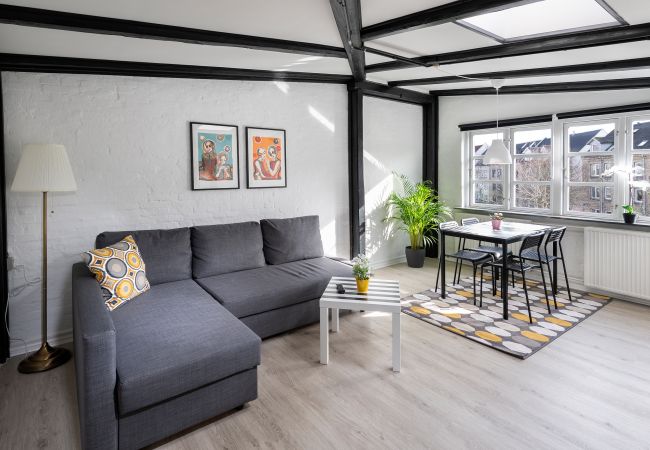 Studio in Aalborg - aday - Apartment suite 4 Aalborg Center Studio in Aalborg - aday - Apartment suite 4 Aalborg Center