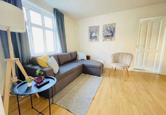 Apartment in Aalborg - aday - Reberbansgade Central Apartment Apartment in Aalborg - aday - Reberbansgade Central Apartment