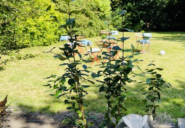 Apartment in Aalborg - aday - Aalborg mansion - Open bright apartment with garden Apartment in Aalborg - aday - Aalborg mansion - Open bright apartment with garden