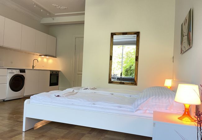 Studio in Aalborg - aday - Aalborg mansion - Studio with terrace and garden Studio in Aalborg - aday - Aalborg mansion - Studio with terrace and garden