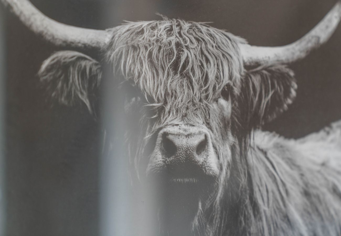 Rent by room in Inverness - mySTAYINN Strathblane Guest House Room 4