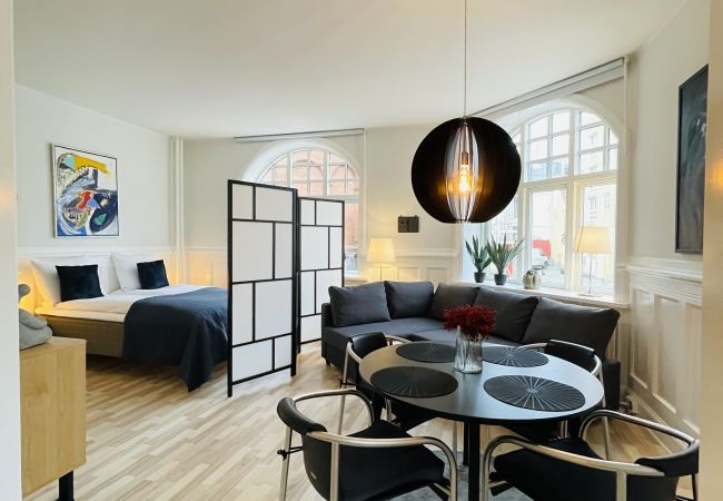 Studio in Aalborg - aday - Luxurious Studio Apartment in the Heart of Aalborg  Studio in Aalborg - aday - Luxurious Studio Apartment in the Heart of Aalborg