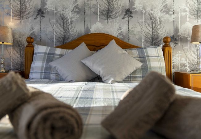 Apartment in Alexandria - Charming 1-Bedroom Home in Alexandria Apartment in Alexandria - Charming 1-Bedroom Home in Alexandria