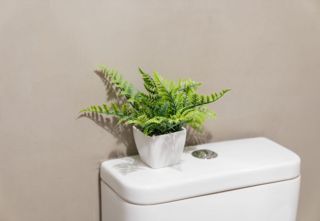 Apartment in Edinburgh - Saughton Suite with views of Water of Leith	 Apartment in Edinburgh - Saughton Suite with views of Water of Leith