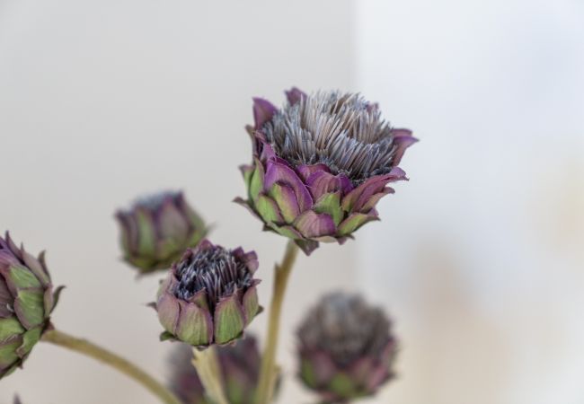 House in Achachork - Arus 3 Bedroom House - Achachork House in Achachork - Arus 3 Bedroom House - Achachork