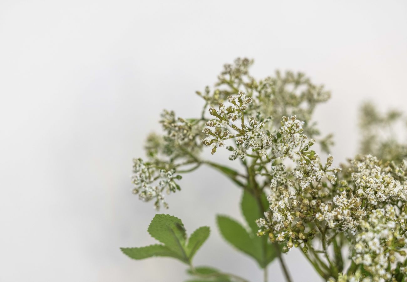 House in Dalkeith - Fern Walk Cosy 3 Bedroom House - Dalkeith