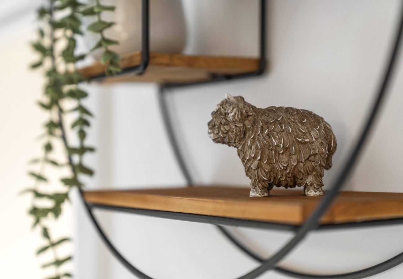 House in Dalkeith - Fern Walk Spacious 3 Bedroom House - Dalkeith