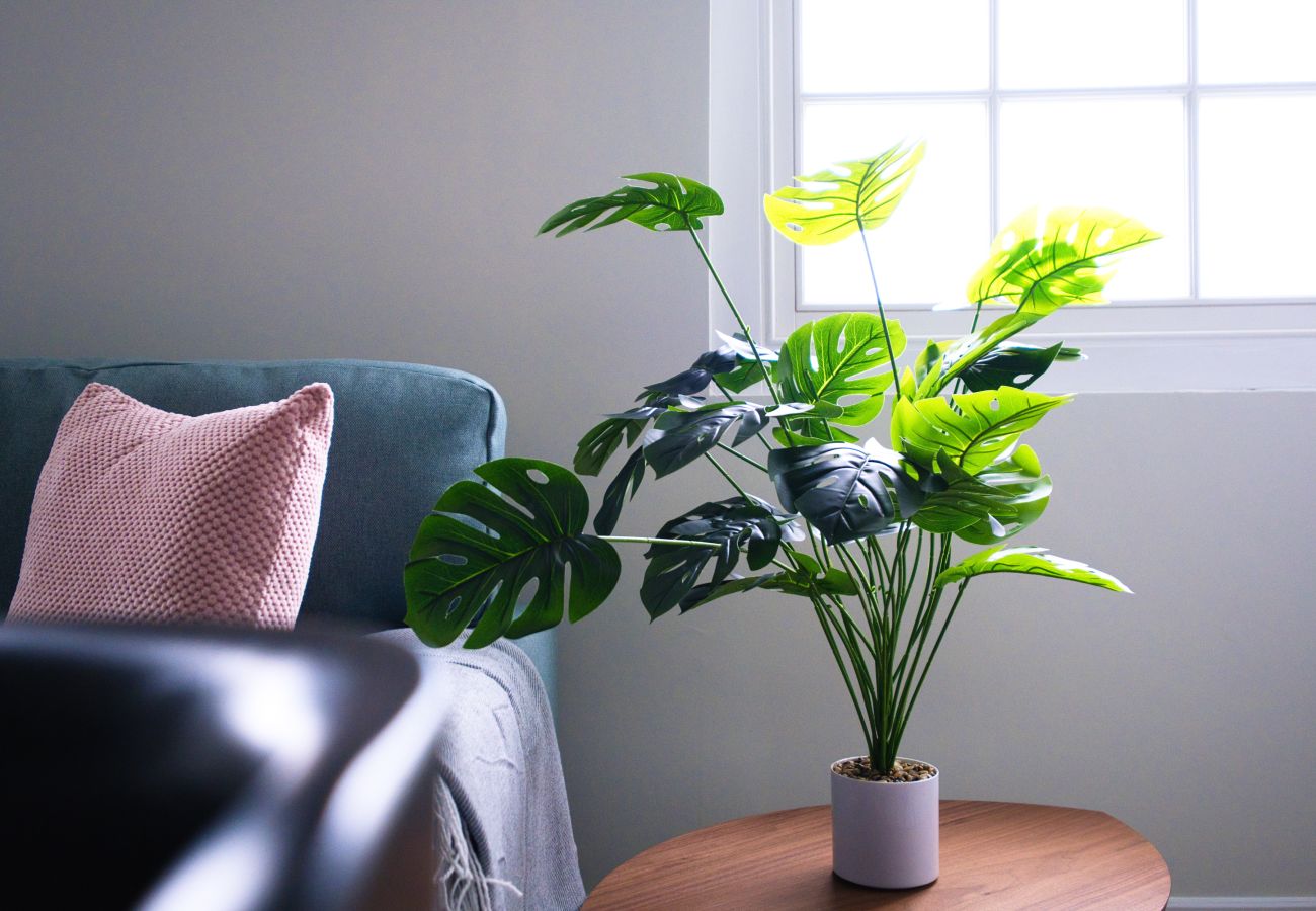 Apartment in Cheltenham - The Pavilion 1 Bedorom Apartment, Cheltenham by mySTAYINN